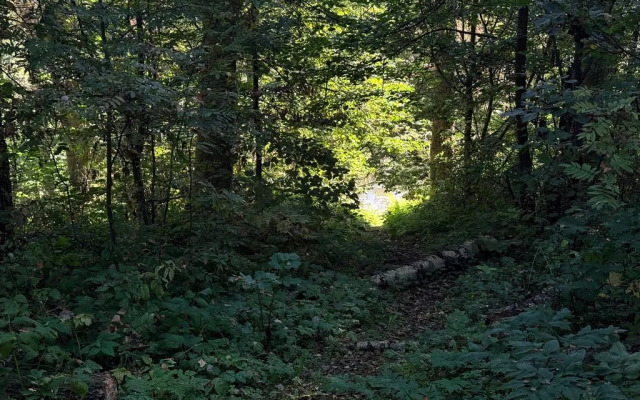Частный дом с баней в лесу на берегу Истринского водохранилища