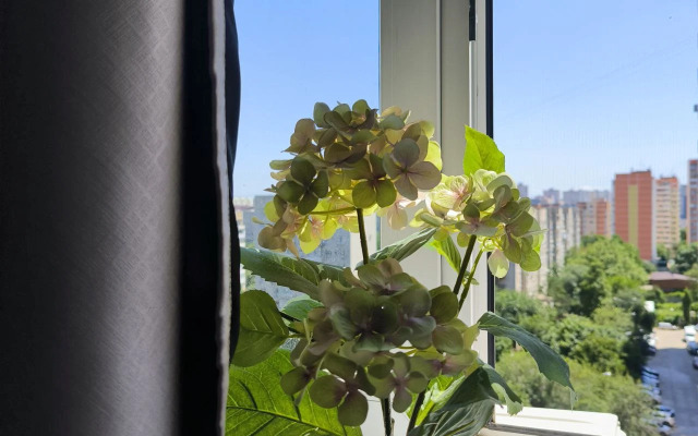 Квартира Уютный адрес