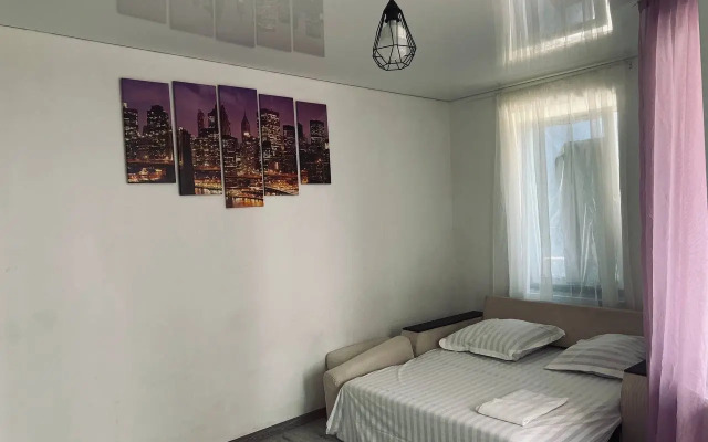 Moskovskoye Shosse Flat