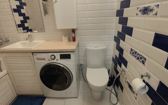 Prostornaya Uyutnaya v Tsentre Flat
