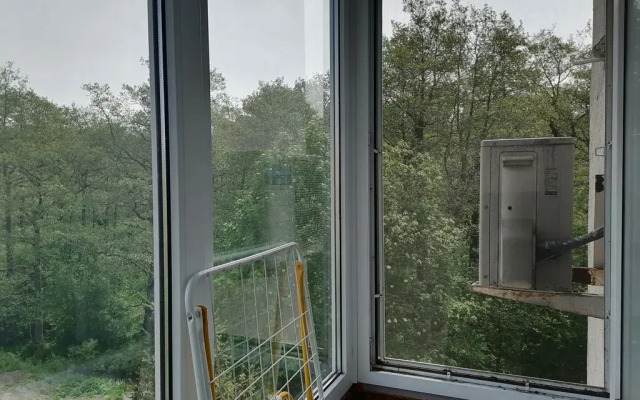 Квартира с видом на лес