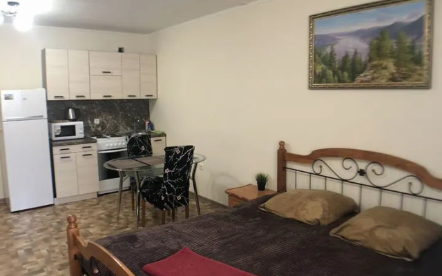 Апартаменты 36 на улице Елизаровых 15/1