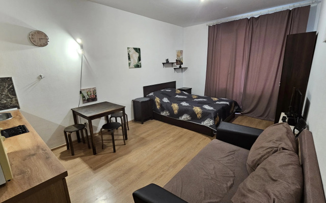 Studiya V Zhk Grinlandiya Na 4 Gostej Studio Flat