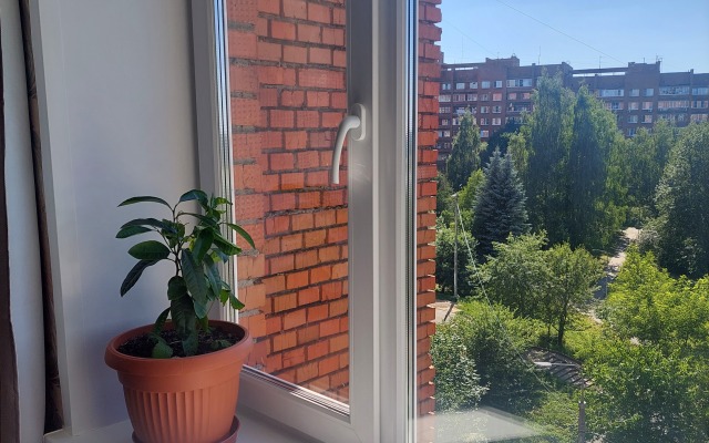 Lavanda Flat
