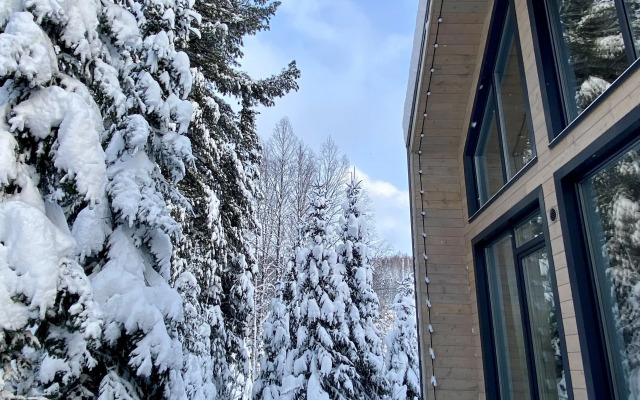 Частный дом уютный барн Green House