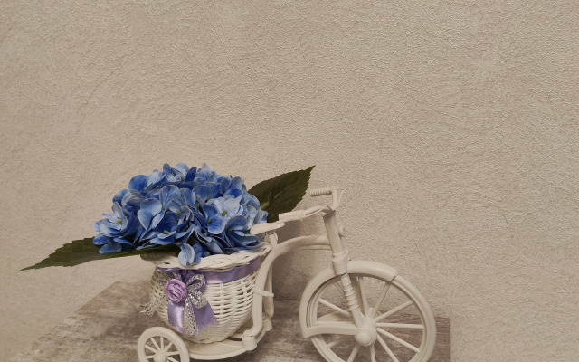 Квартира уютная в Советском районе Как дома