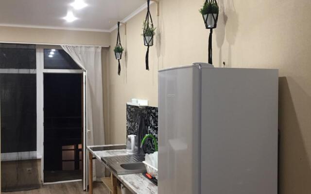 Cozy Izvestia Apartments