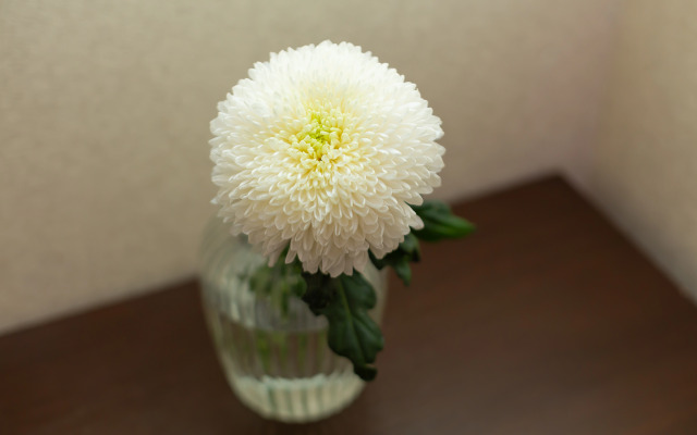 Апартаменты «Атмосфера» | Горячий Шоколад — Сладкая Жизнь На Высоте