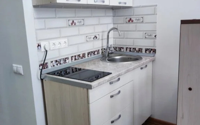 Апартаменты ДОМИНО Рядом с Арена Кристалл 1