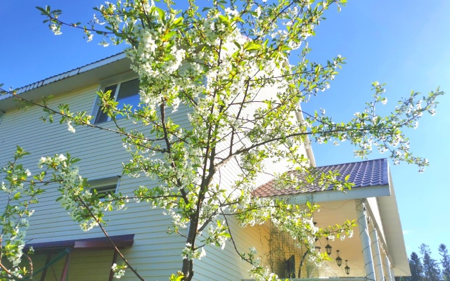 Relax Guest House