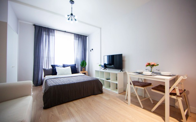 Апартаменты Первый Лиговский 271Б (3)