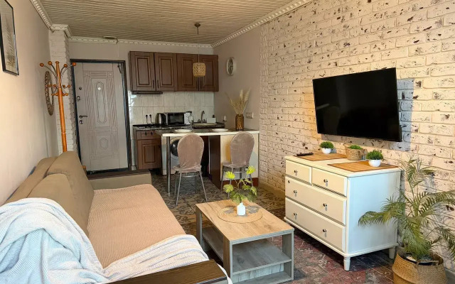 Апартаменты Просторные стильные апартаменты