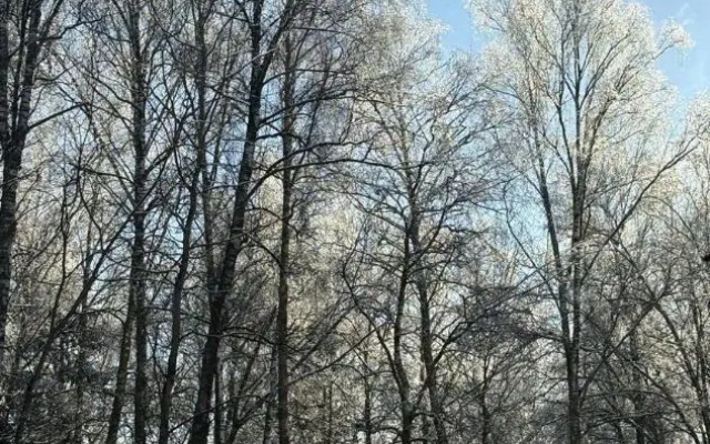 Квартира Витро