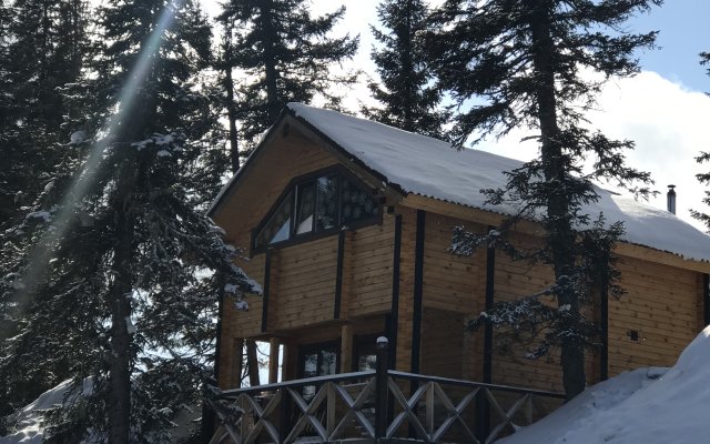 Ski Park Guest House