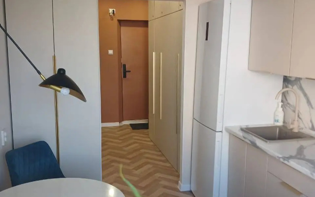 Sovremennaya Ryadom S Tts Flat