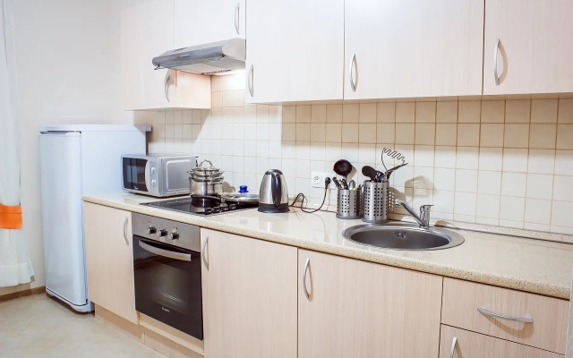 Квартира на Удельной рядом с Алмазова