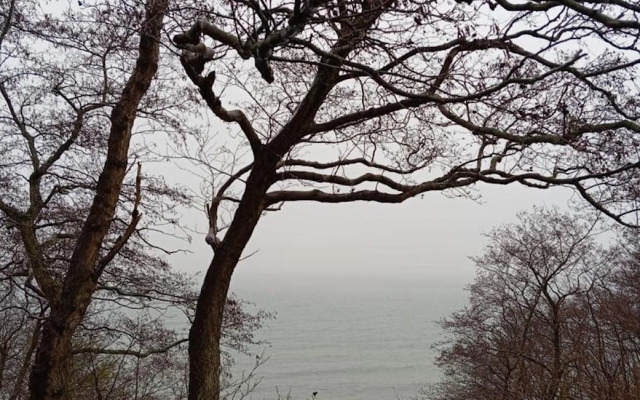 Квартира на улице Прибрежная