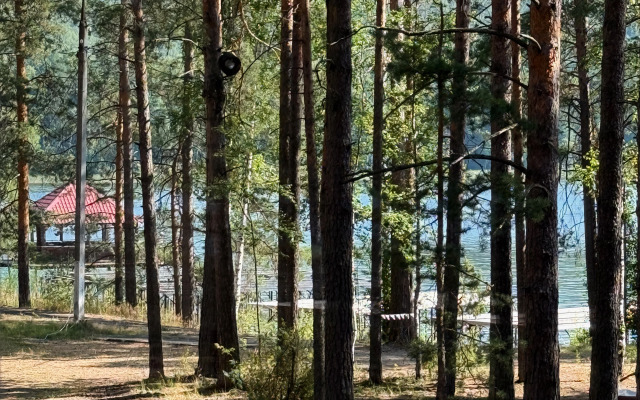 Частный дом Белый и сосны