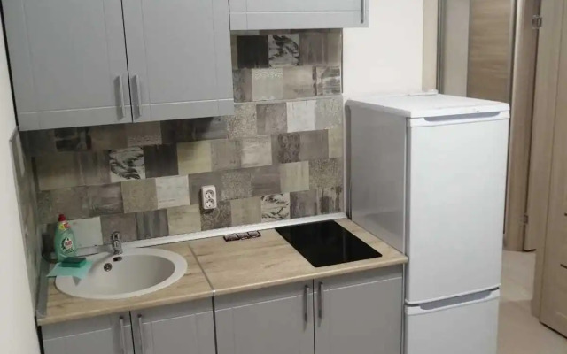 Dreamhouse Na Sputnikov Apartments