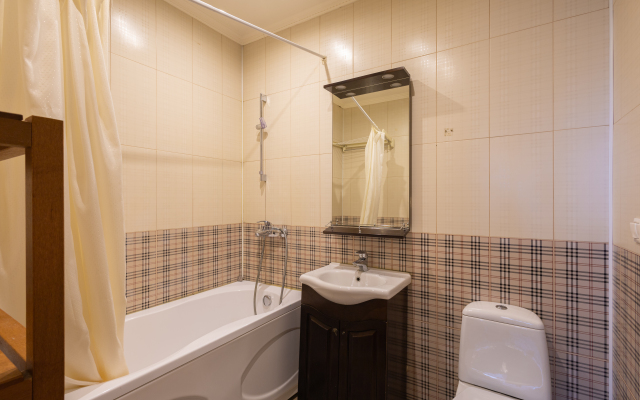 Vidovye V Tsentre Flat