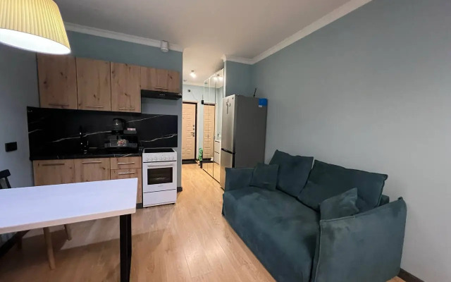 Апартаменты Студия AlexHome в Старой Купавне