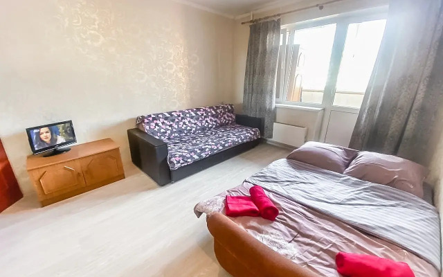 Uyutnaya Kvartira Vozle Sheremetyevo Apartments