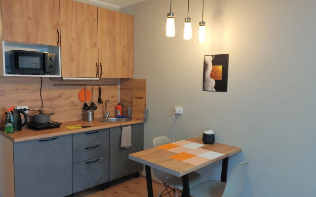 Апартаменты Уютная Студия на Ст Метро Парнас