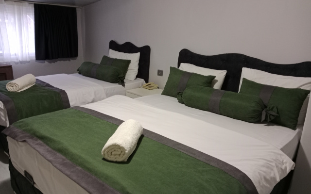 Отель Erkus Hotel İstanbul