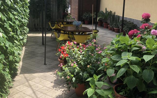Guest House Salma