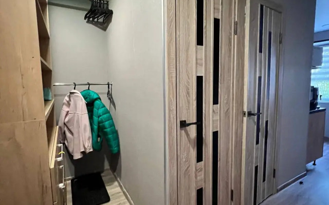 Квартира 1-комнатная на Александрова 30/1