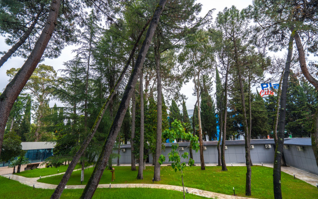 PosutochnoSochi.rf V Tsentre Adlera Apartments