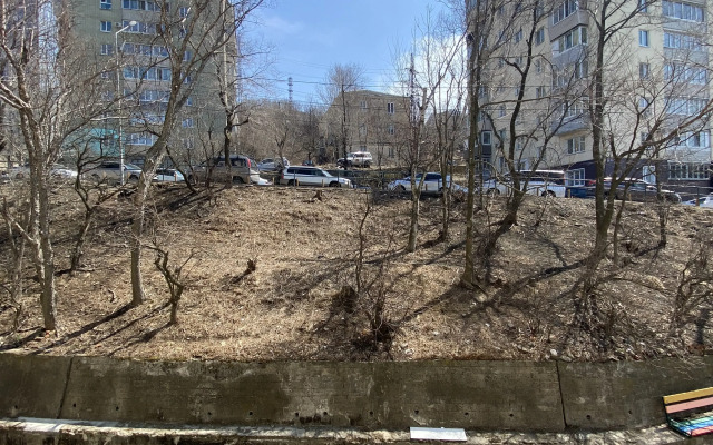 V tsentre na Nerchinskoy 3 Flat