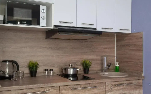 Studiya Na Rozhdestvenskoy Apartments