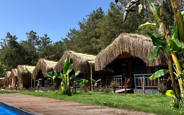 Pine Village Bungalows Ölüdeniz Private house