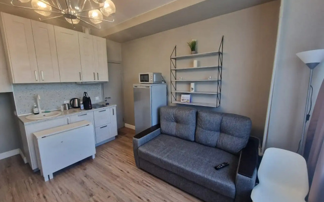 Udobnaya Studiya V Tsentre Apartments