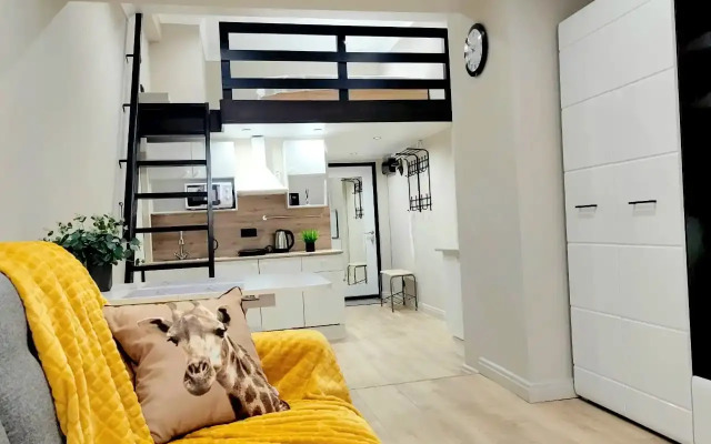 Апартаменты Двухуровневые апартаменты на Ольминского