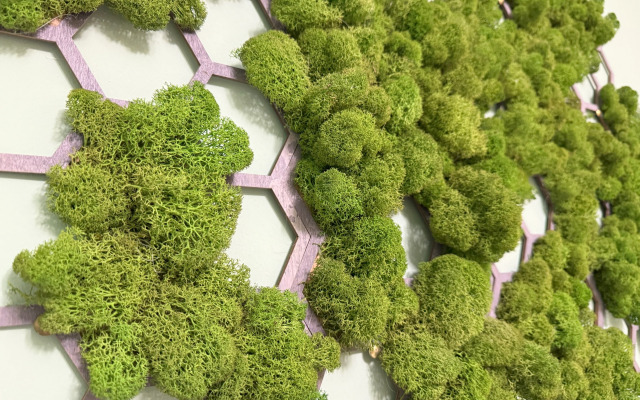 Квартира На Говорова 17Г