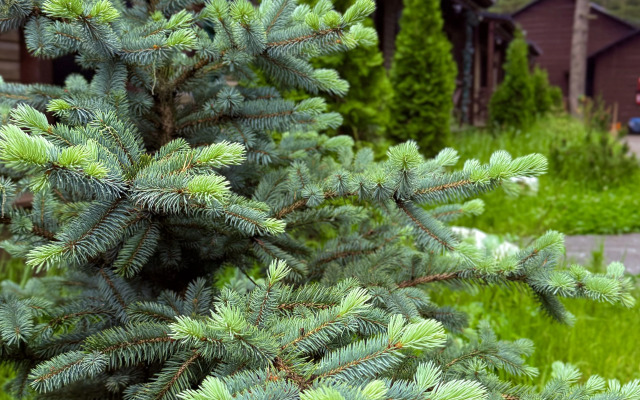 База отдыха Малиновка