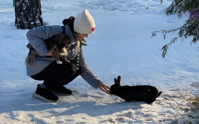 Парк-отель Хвоя