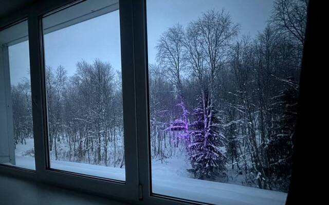 Отель Лапланидия