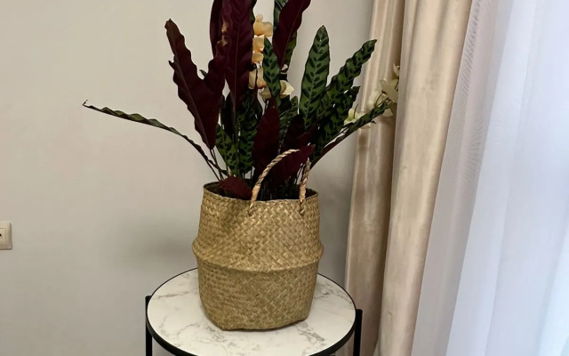 Квартира на улице Санаторная 49/19А