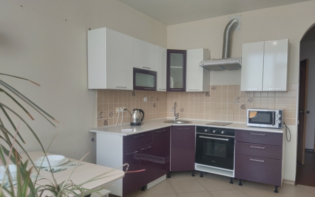 Квартира на Салмышской