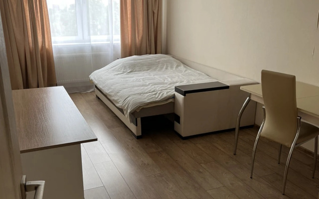 Uyutnye U Metro grushevka Apartment