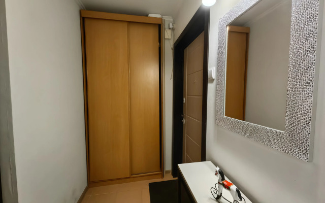Vozle Metro Strogino Flat