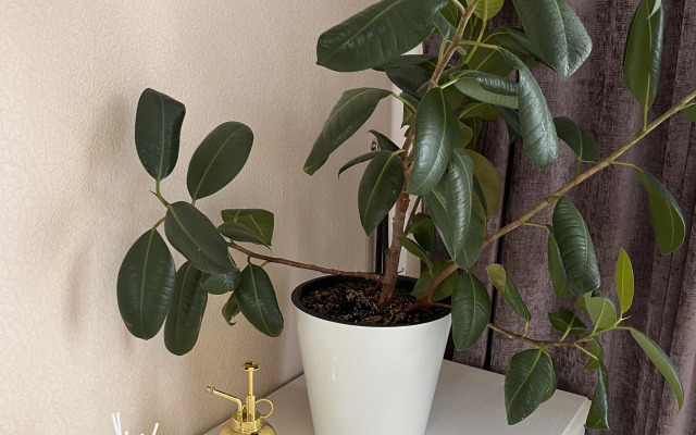 Квартира на Окской набережной 19