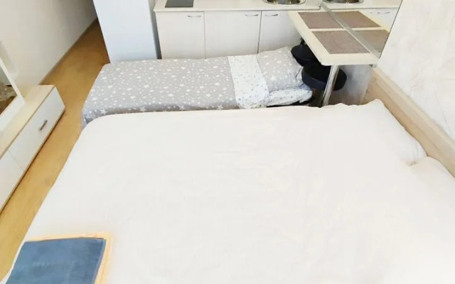 Апартаменты на Старошоссейной улице 5/2