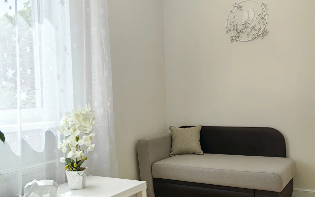 Uyut V Istoricheskom Tsentra Amalienau Flat