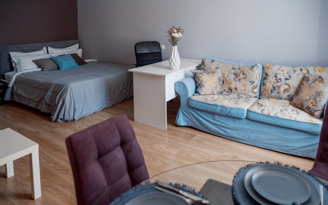 Uyutnaya Studiya Okolo Sheremetyevo Flat