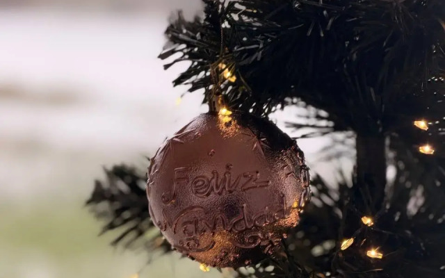 Частный дом Южный берег