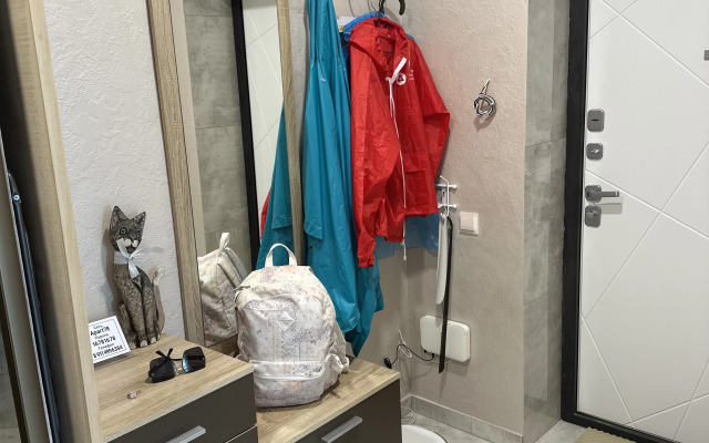 Uyutnaya kvartira na poberezhye Zelenogradska Flat